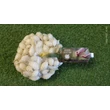 Dughagyma Allium cepa Snowball 14-19mm 25dkg/cs