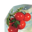 110162 TOMATOTUBE 50 µm LDPE perforált takarófólia O 38 cm sárga 0,6 x 10