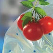 110162 TOMATOTUBE 50 µm LDPE perforált takarófólia O 38 cm sárga 0,6 x 10