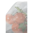 110163 TOMATEX PP takaró szövet fehér 0,6 x 10 m