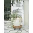 190075 FLORA ROLL LASURÉ keményfa virágalátét világosbarna O 30 cm