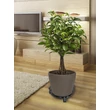 190085 FLORA ROLL ART DECO fém virágalátét fekete O32cm