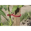 2017726 TOMATOCLIP növényrögzítő kapocs  25 db/csomag  piros 6,2 cm