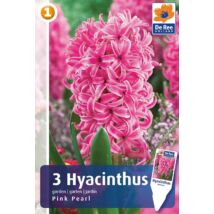 Vh16212 Hyacint  Pink Pearl 3db/csom