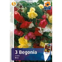 Vh08383 Begonia Pendula Mix 3db/cs