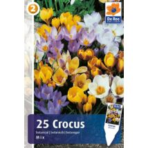 Vh16354 Crocus Botanical Mix 25db/csom