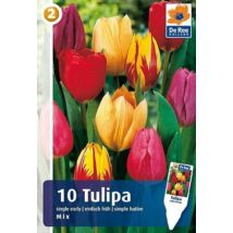 Vh16221 Tulipán Single Early Mix 10db/csom