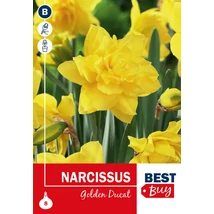 Vh 16039 Narcissus dbl. Golden Ducat 8db/cs 10/12