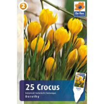 Vh16350 Crocus Botanical Dorothy 25db/cs