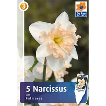 Vh 16333 Narcissus Orchid Palmares 5db/cs 12/14