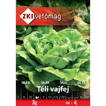 Z Saláta Téli vajfej 3g