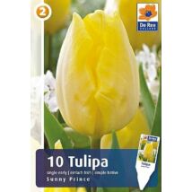 Vh16828 Tulipán Single Early Sunny Prince 10db/csom