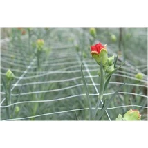 120242 TRELLINET PP (Sz-120/8) növénytartó háló 150 x 150  színtelen 1,2 x 10 m