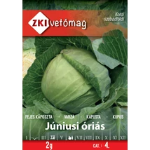 Z Fejes káposzta Júniusi óriás 2g