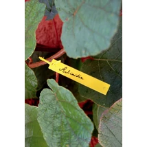 147048 TREE LABEL függő címke sárga 9,5 x 1,5 cm