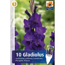 Vh08578 Gladiolus Largeflowering Purple Flora