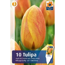 Vh16893 Tulipán Single late Rhapsody of Smiles 10db/csom