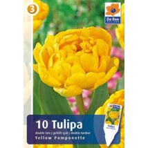 Vh16895 Tulipán Double Late Yellow Pomponette 10db/csom