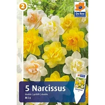 Vh 16498 Narcissus Double Double Mix 5db/cs 12/14