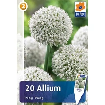 Vh 16468 Allium Allium Ping Pong 20db/cs 7/8
