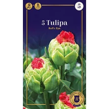 Vh16957 Tulipán Supereme Double Bull's Eye 5db/csom
