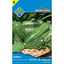 B Cukkini Striato di Napoli 2g