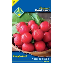 B Retek Korai legjobb 4g