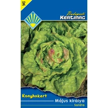 B Saláta Május királya 2g