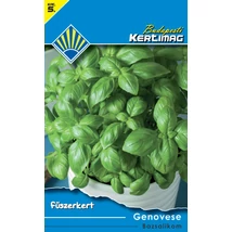 B Fűszer Bazsalikom Genovese nagylevelű 2g