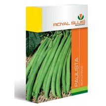 R Bokorbab Paulista 65g