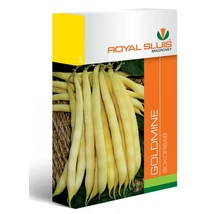 R Bokorbab Goldmine 65g
