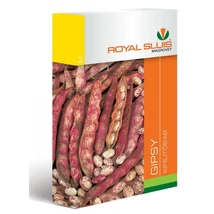 R Szárazbab Kifejtőbab Gipsy 65g