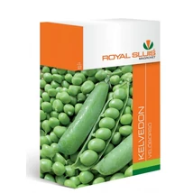 R Zöldborsó Velőborsó Kelvedon 500g