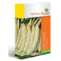 R Bokorbab Capitano 45g