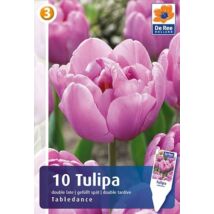 Vh16480 Tulipán Double Late Tabledance 10 db/csom