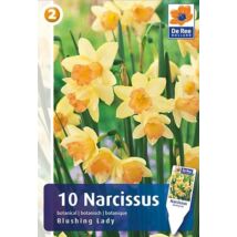 Vh16481 Narcisz Botanical Blushing Lady 10 db/csom