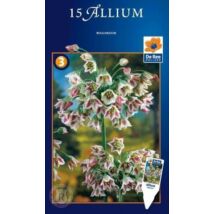 Vh16570 Allium Bulgaricum 15db/csom