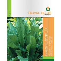 R Sóska Nagylevelű 2g