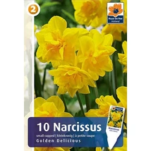 Vh16832 Narcisz Botanical Golden Delicious 10db/csom