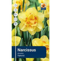 Vh Rackbox Narcissus Double Tahiti 25db/cs 14/16