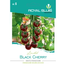 R Paradicsom koktél Black Cherry 10szem