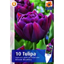 Vh16238 Tulipán Double Early Alison Bradley 10db/csom