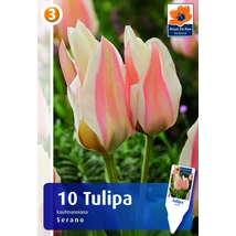 Vh16242 Tulipán Kaufmanniana Serano 10db/csom