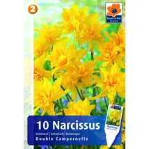 Vh 16264 Narcissus Botanical Double Campernelle 10db/cs 10/12