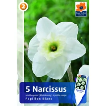 Vh 16270 Narcissus Small cupped Papillon Blanc 5db/cs 12/14