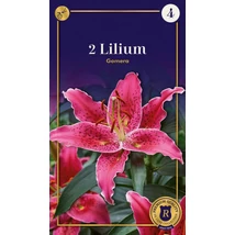 Vh10645 Liliom Supreme Oriental Gomera 2db/cs