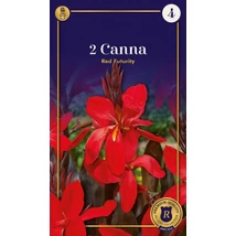 Vh10632 Canna Red Futurity 2db/cs