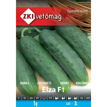 Z Uborka Elza F1 1,5g