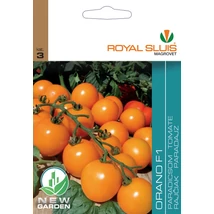 R Paradicsom Orano F1 14 szem