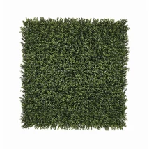 2021587 VERTICAL BUXUS zöldfal buxus levelekkel zöld 1x1m